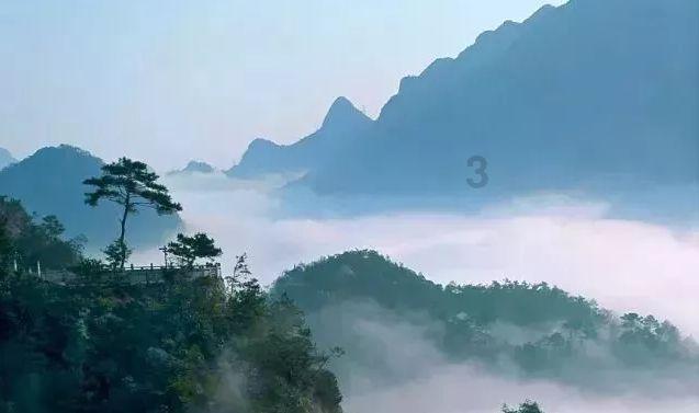 我的王朝